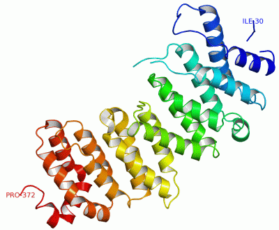 Image Asym./Biol. Unit - manually