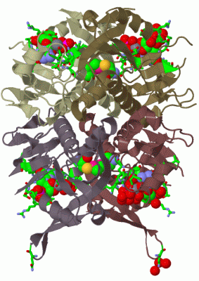 Image Biol.Unit 1 - manually