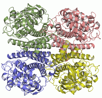 Image Asym./Biol. Unit - manually