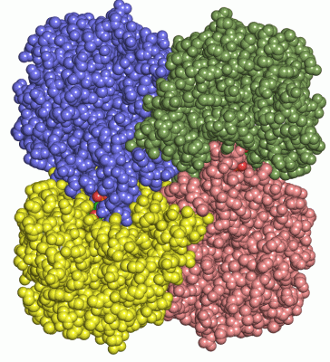 Image Asym./Biol. Unit - manually