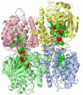 Image Asym./Biol. Unit - manually