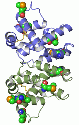 Image Asym./Biol. Unit - manually