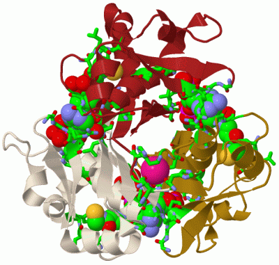 Image Biol.Unit 1 - manually