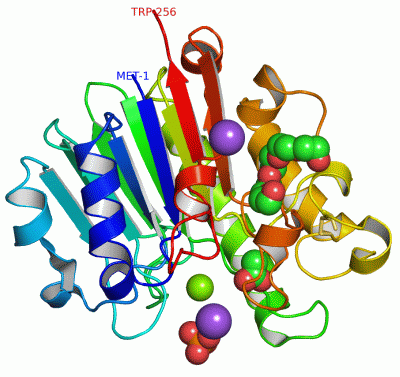 Image Asym./Biol. Unit - manually