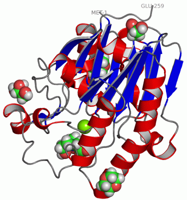 Image Asym./Biol. Unit - manually