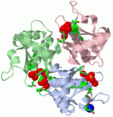 Image Asym./Biol. Unit - manually