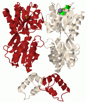 Image Biol.Unit 1 - manually