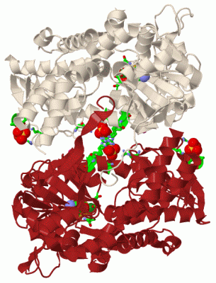 Image Biol.Unit 1 - manually