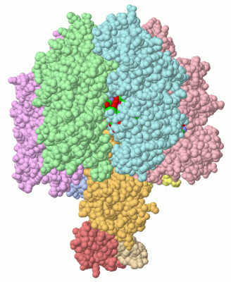 Image Asym./Biol. Unit - manually