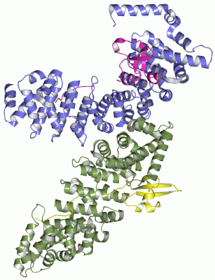 Image Asym./Biol. Unit - manually