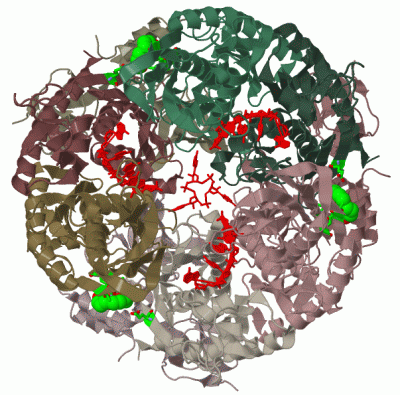 Image Biol.Unit 1 - manually