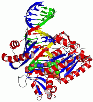 Image Asym./Biol. Unit - manually