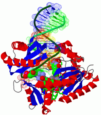 Image Asym./Biol. Unit - manually