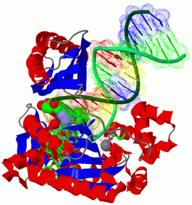 Image Asym./Biol. Unit - manually