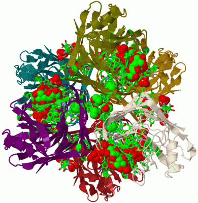 Image Biol.Unit 1 - manually