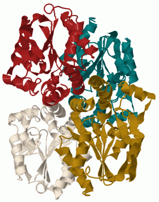 Image Biol.Unit 1 - manually