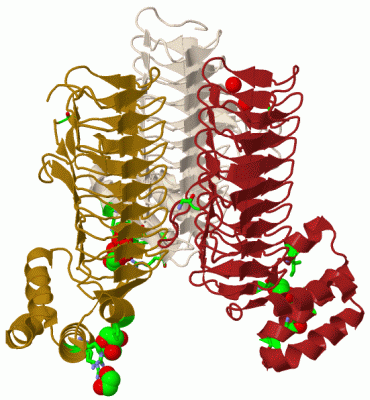 Image Biol.Unit 1 - manually