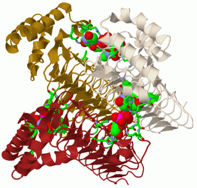 Image Biol.Unit 1 - manually