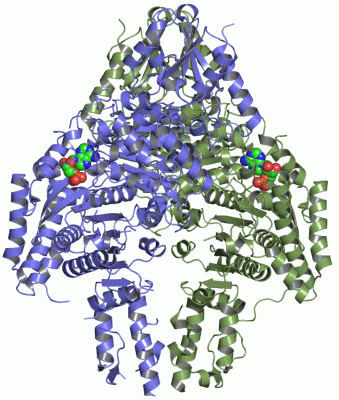 Image Asym./Biol. Unit - manually