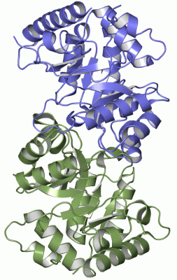 Image Asym./Biol. Unit - manually