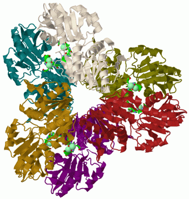 Image Biol.Unit 1 - manually