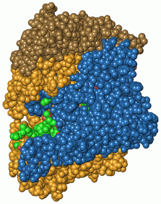 Image Asym./Biol. Unit - manually