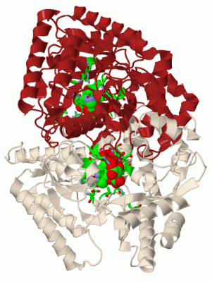 Image Biol.Unit 1 - manually