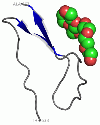 Image Asym./Biol. Unit - manually