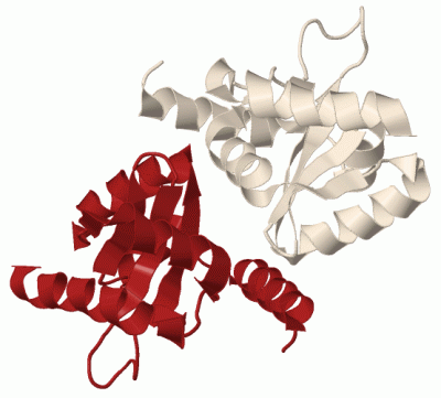 Image Biol.Unit 1 - manually