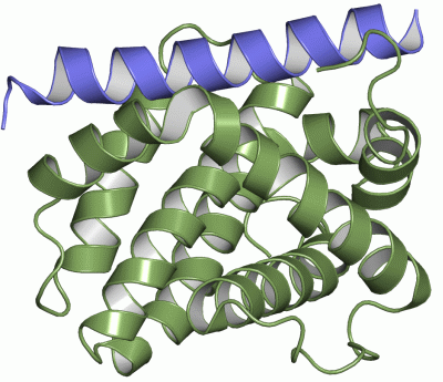 Image NMR Structure - manually