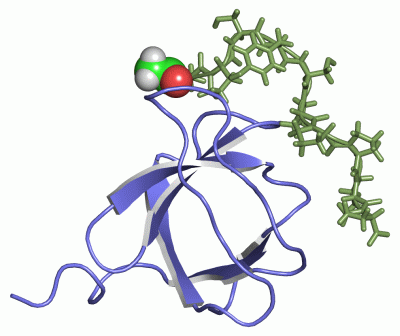 Image NMR Structure - manually