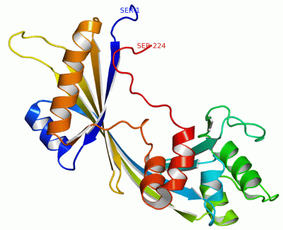 Image NMR Structure - manually