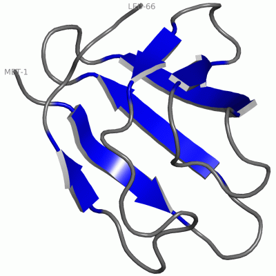 Image NMR Structure - manually