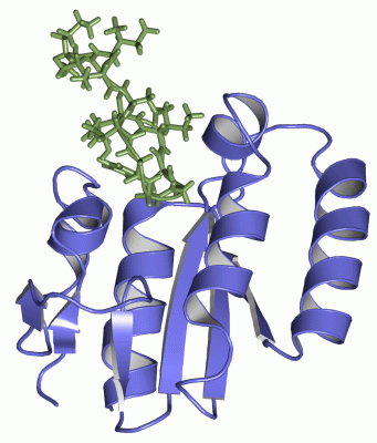 Image NMR Structure - manually