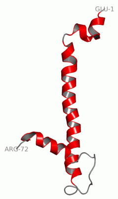 Image NMR Structure - manually