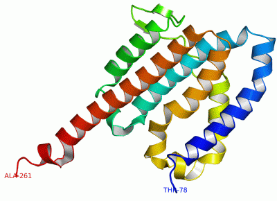 Image NMR Structure - manually