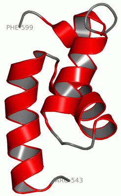 Image NMR Structure - manually