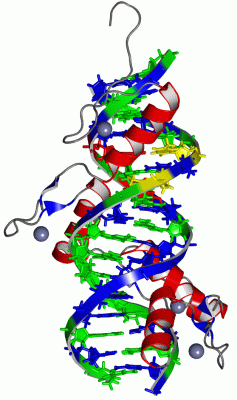 Image NMR Structure - manually