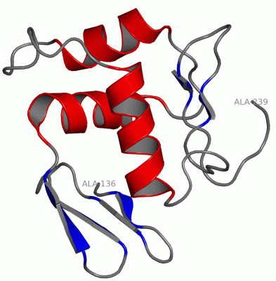 Image NMR Structure - manually