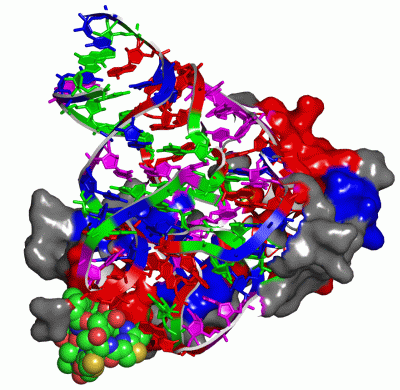 Image NMR Structure - manually