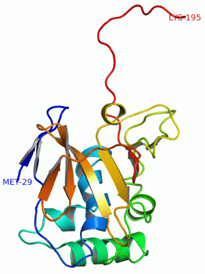 Image NMR Structure - manually