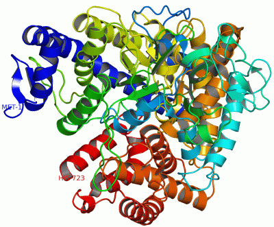 Image NMR Structure - manually