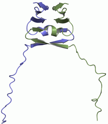 Image NMR Structure - manually