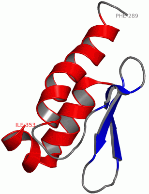 Image NMR Structure - manually