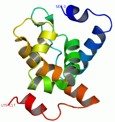 Image NMR Structure - manually