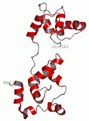 Image NMR Structure - manually