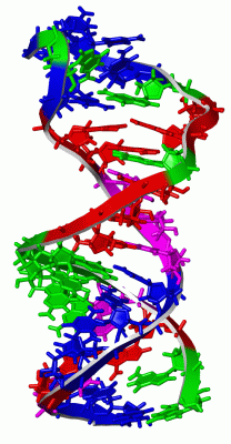 Image NMR Structure - manually