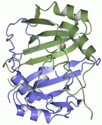 Image NMR Structure - manually