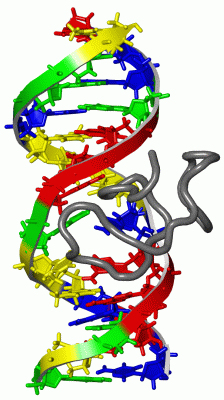 Image NMR Structure - manually