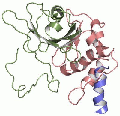 Image NMR Structure - manually